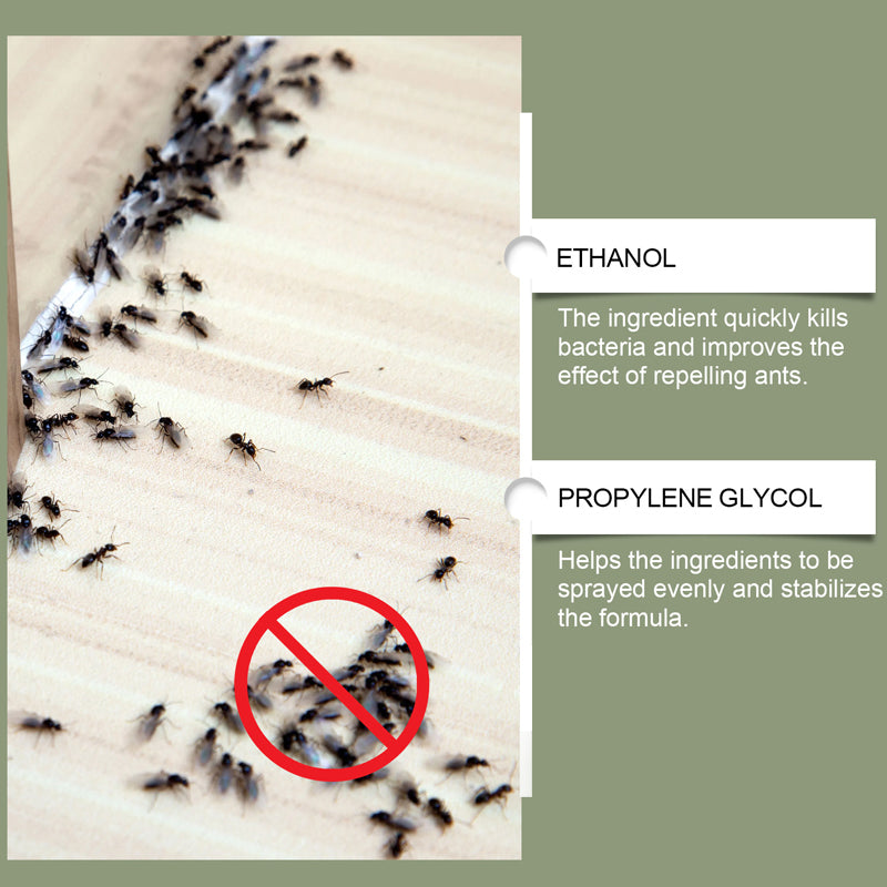AntAway™ Starkes Ameisenspray | 1+1 GRATIS